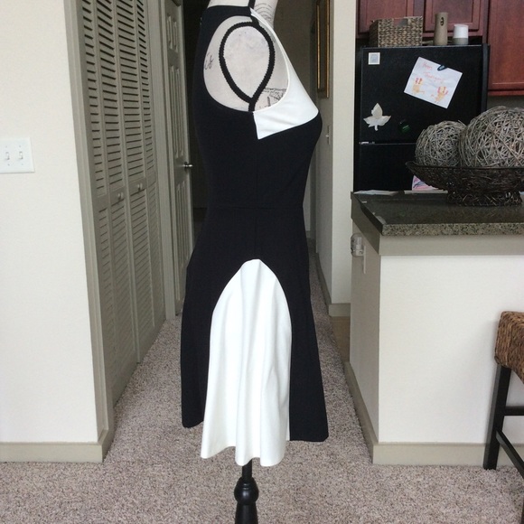 🌸 Color Blocked Skater Dress 🌸 - Picture 2 of 6